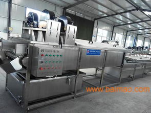 大姜清洗机 高效蔬菜加工机械的选择与价格分析