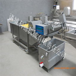 多功能蔬菜清洗机 高压喷淋技术与利德清洗机在蔬菜加工机械中的应用与价值