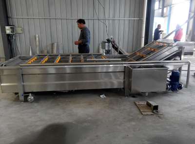 定制生产大型蔬菜气泡清洗机 提升蔬菜加工效率与品质的关键装备